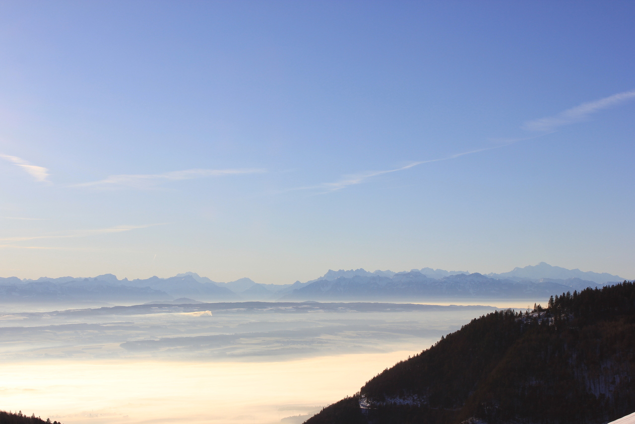 Appt PPE neuf de 2.5 pièces Vivre au soleil, au-dessus du brouillard - Magnifique vue sur les Alpes