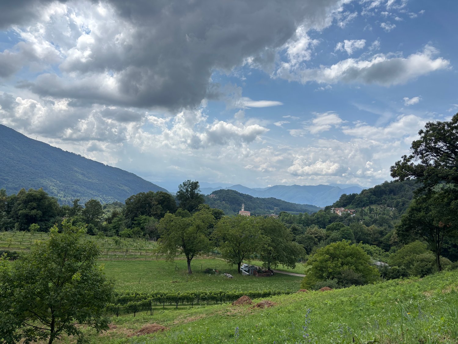 Spaziosa casa nuova con vista sul M. Rosa in contesto idilliaco -  Bild 13