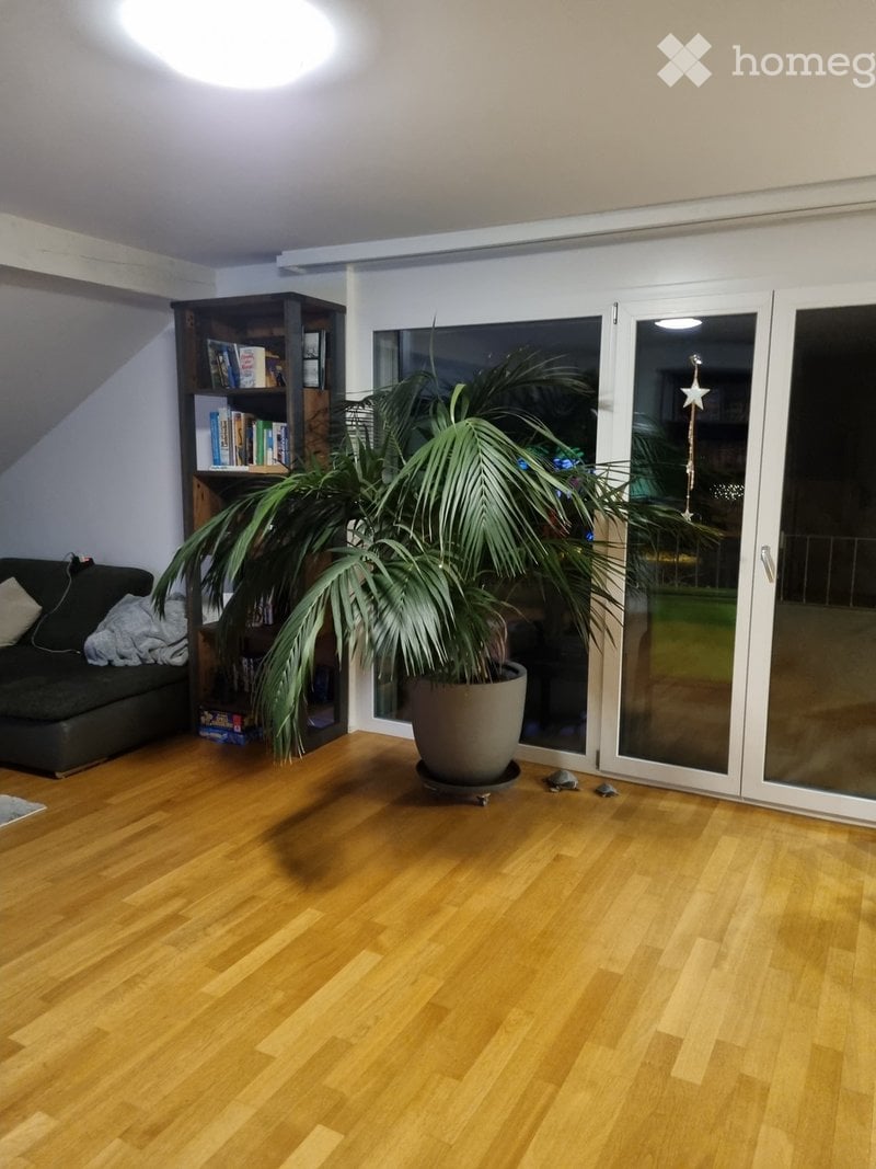 Suche Nachmieter ab 01.05.2026 für moderne 2.5-Zimmer-Dachwohnung mit Balkon in Frauenfeld -  Bild 1