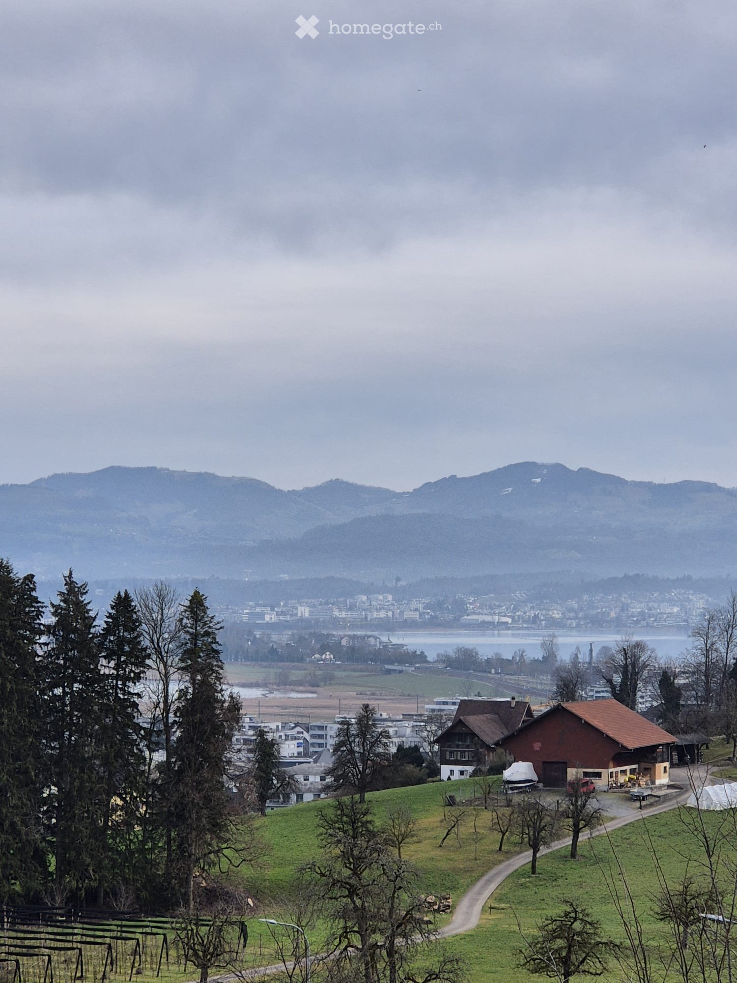 Moderne 2.5-Zimmer-Neubau-Wohnung mit Bergblick und Seeblick in Pfäffikon SZ - Bild 1