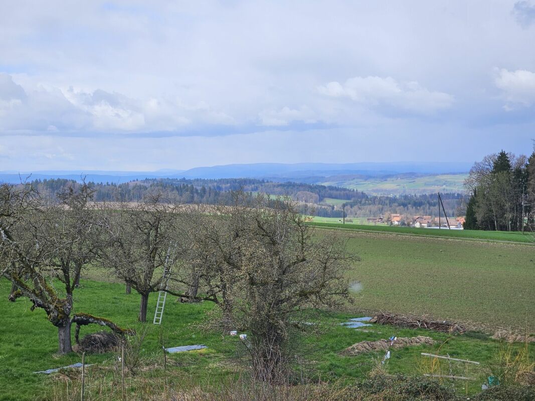 Neubau 4.5-Zimmer-Eigentumswohnung (DG mit Galerie, Nr. 8) im ländlichen Liebensberg (Gemeinde Wiesendangen) -  Bild 4
