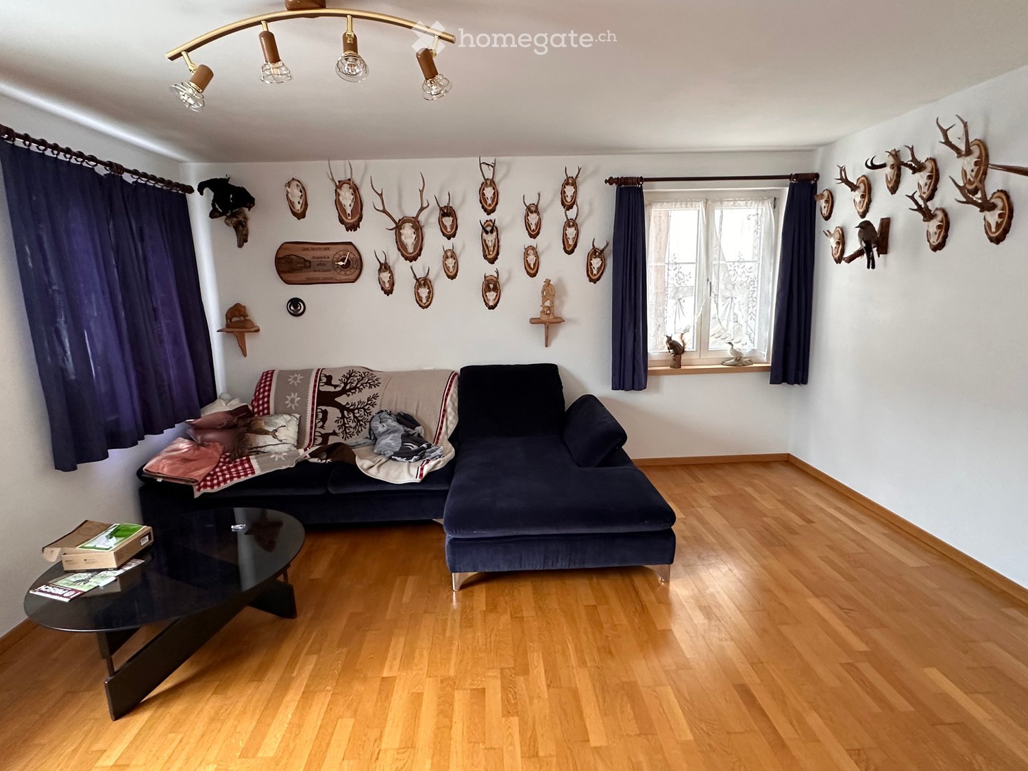 Charmantes Einfamilienhaus mit 4000 m² Wald -  Bild 5