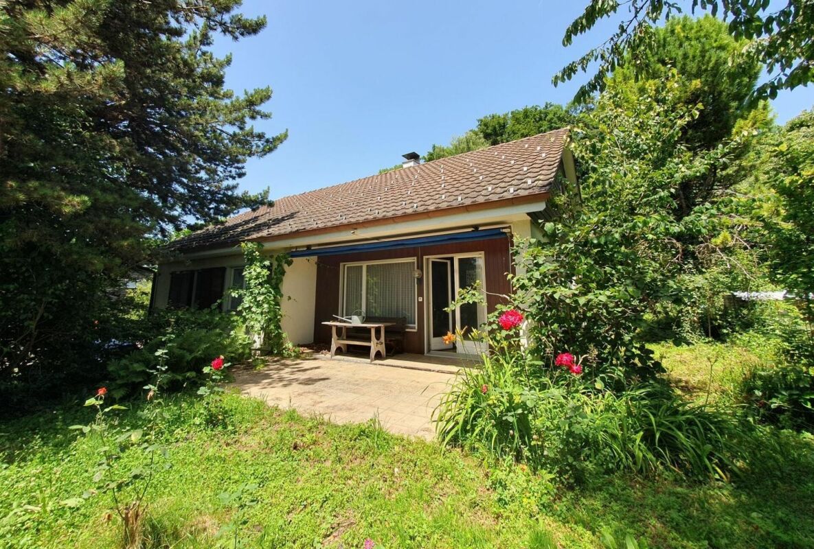 Mit viel Potenzial! - Bild 1