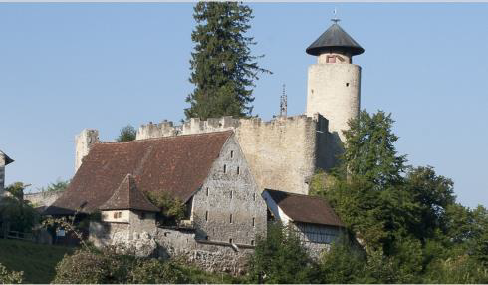 Die perfekte Gartenwohnung im besten Dorf der Schweiz -  Bild 10