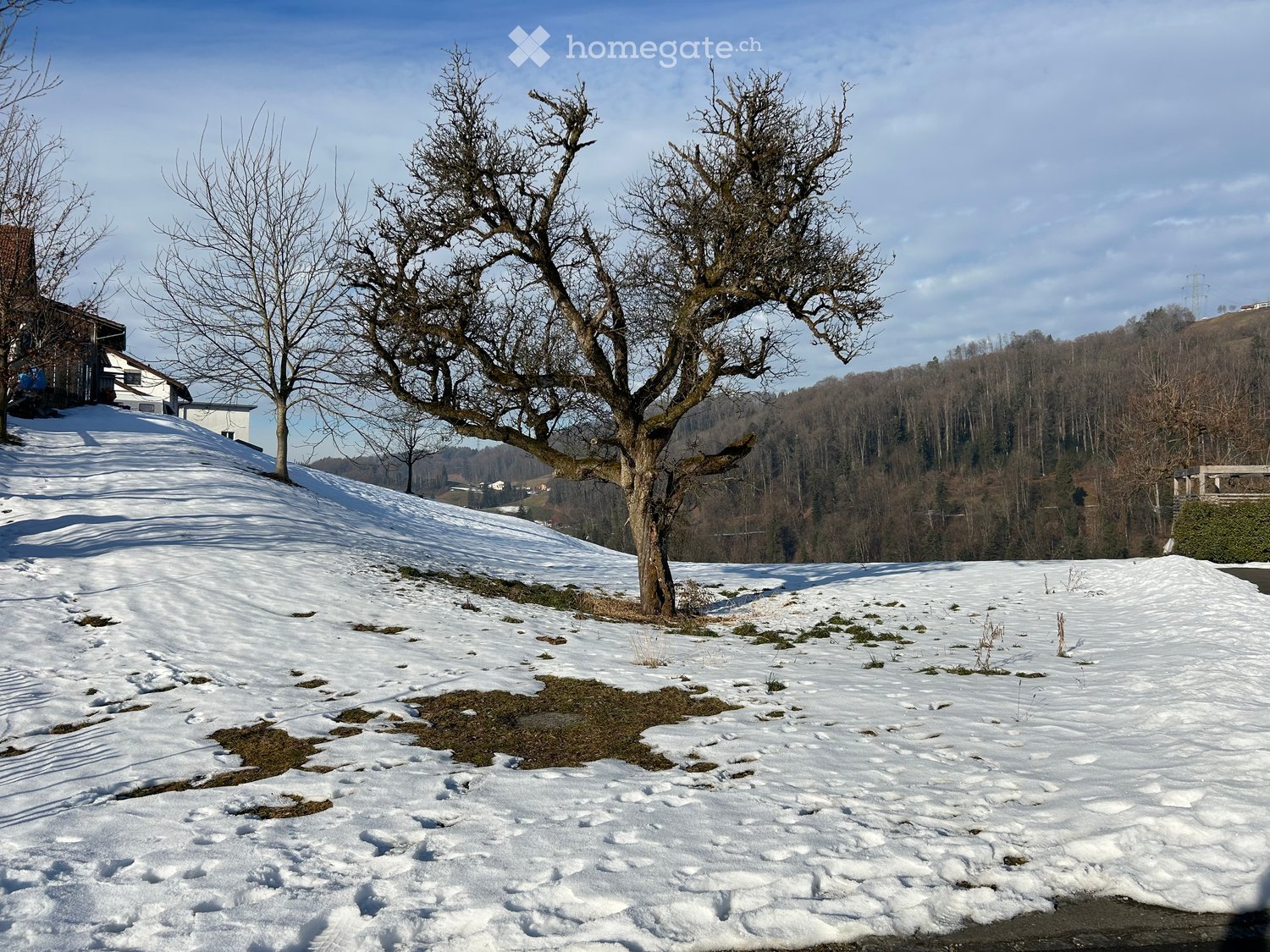 Neubau 5.5-Zimmer-EFH in Lütschbach, Gemeinde Eschenbach -  Bild 5