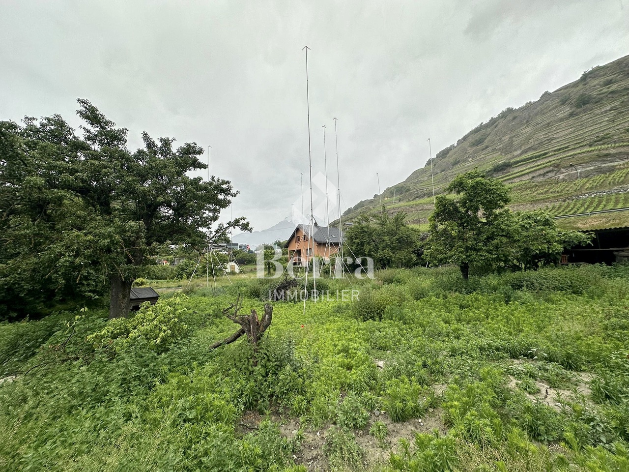 Portachon - Chateauneuf Sion - Bild 9