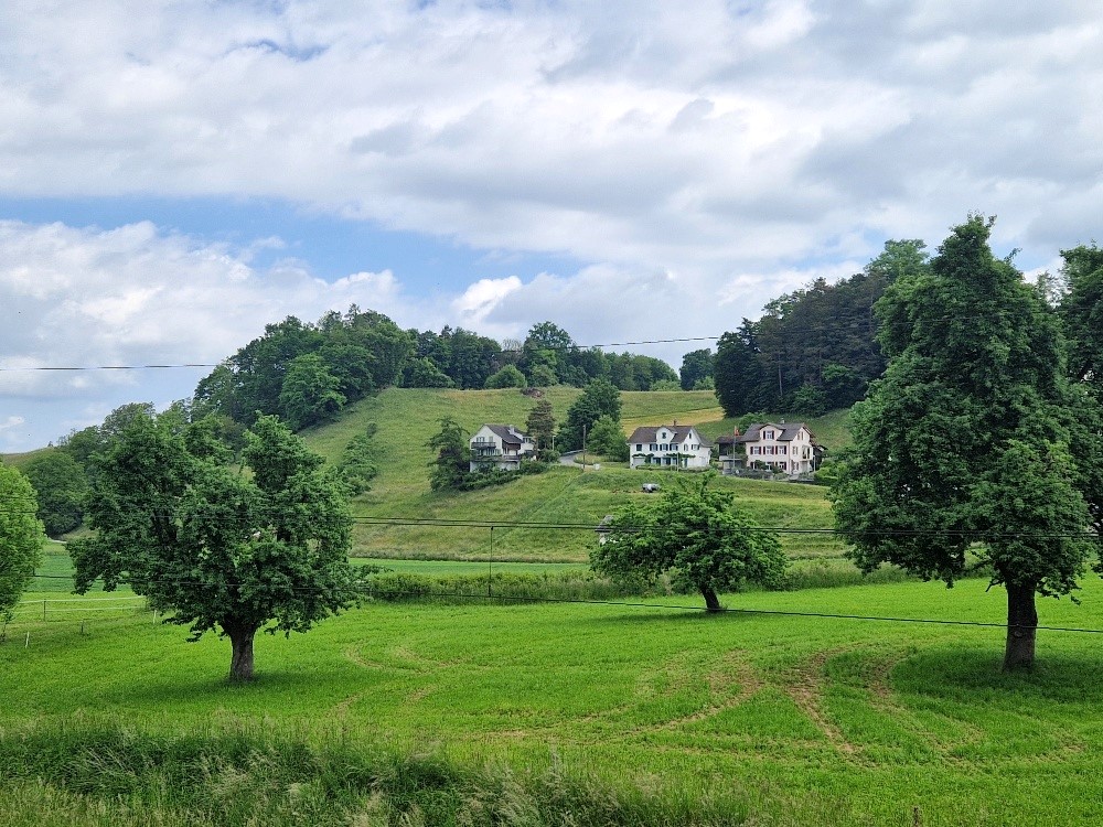 4.5 Zimmer Gartenwohnung mit mehr Raum, mehr Licht, mehr Zuhause. - Bild 6
