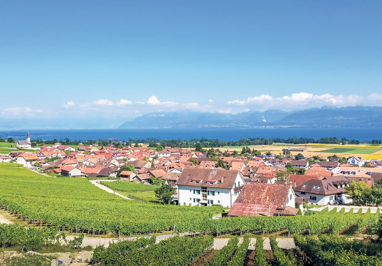 Magnifique rez-de-jardin de 5.5 pièces à Gilly -  Bild 1