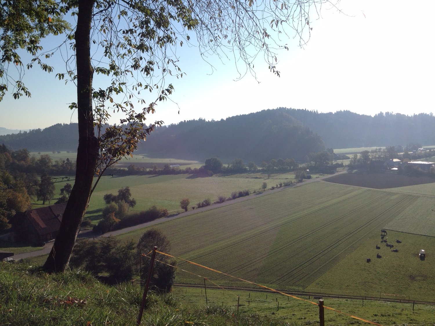 Traumhafte Wohnlage mit Einliegerwohnung | Baubewilligung vorhanden - Bild 7