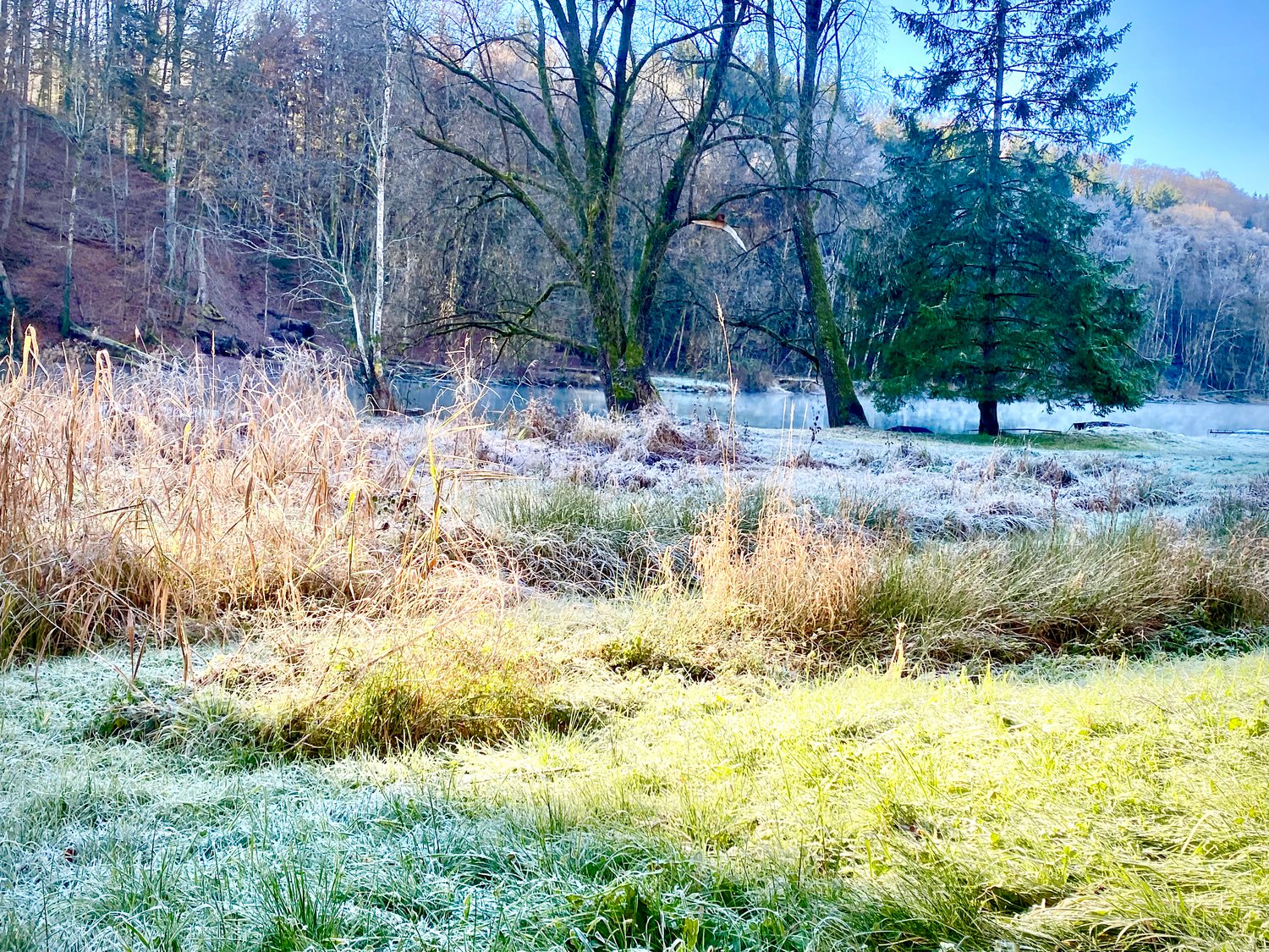 Mehrgenerationenhaus - Bild 13