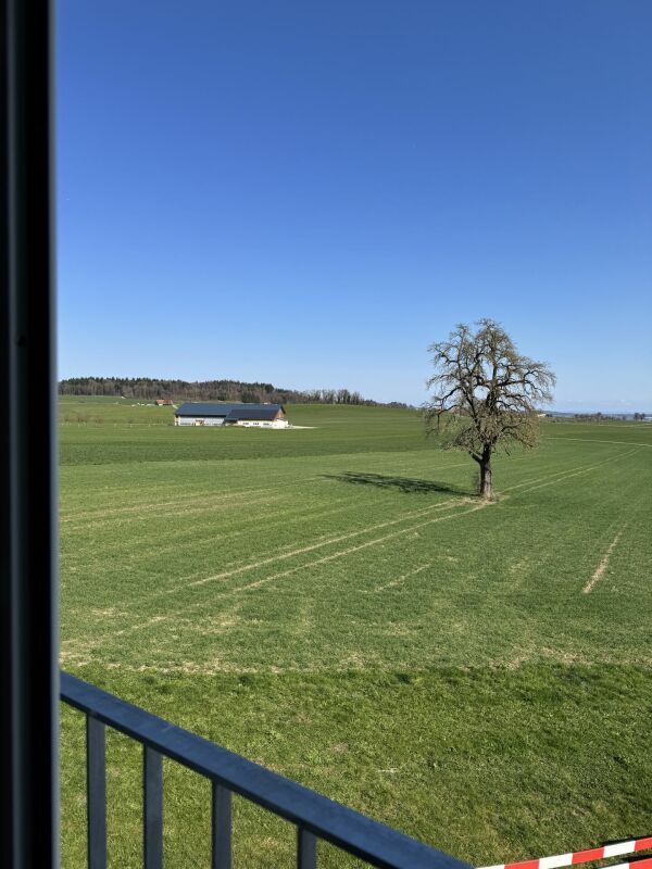 Alpenblick Wetzikon TG - Bild 8