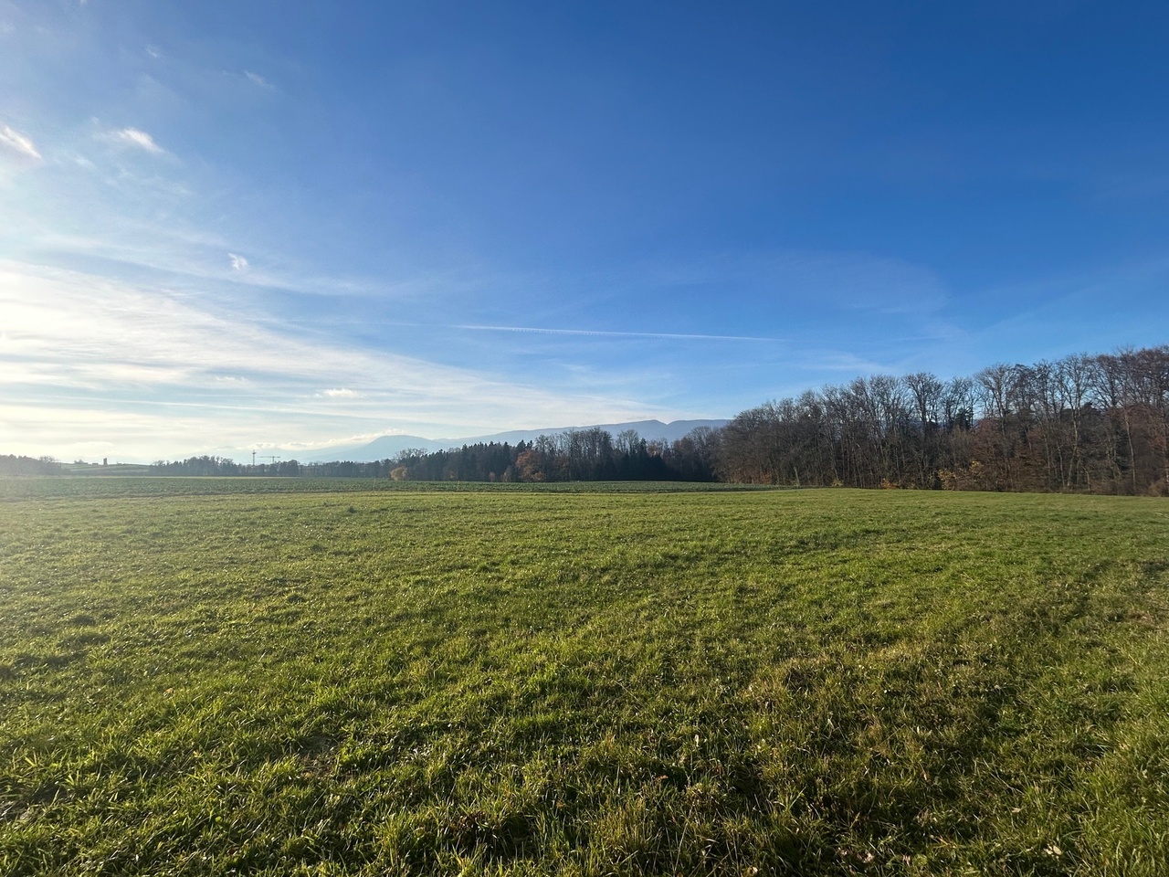 Gletterens Villa contigüe de 5.5 pièces Vue dégagée sur la campagne - Bild 7