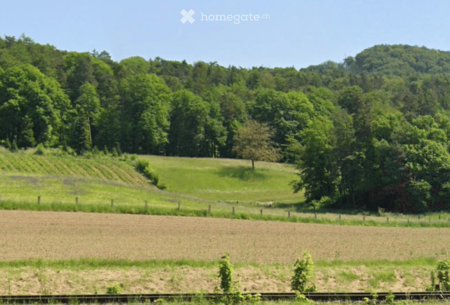 Charmantes Einfamilienhaus mit 4000 m² Wald -  Bild 1