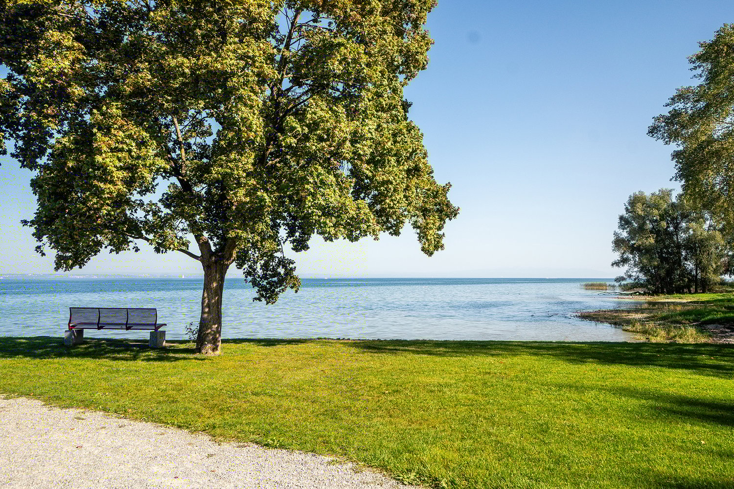 Ihr zukünftiger Wohn(t)raum in Güttingen "see-wies.ch" - Bild 11