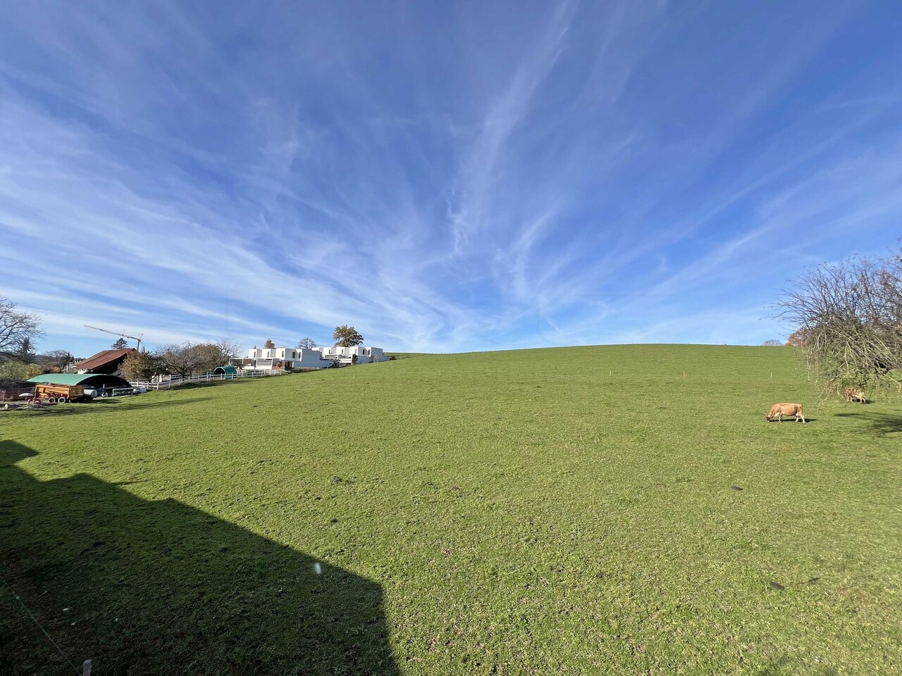 Appartement 2.5 pièces au sommet de l'immeuble ! - Vue depuis séjour - Lot 10