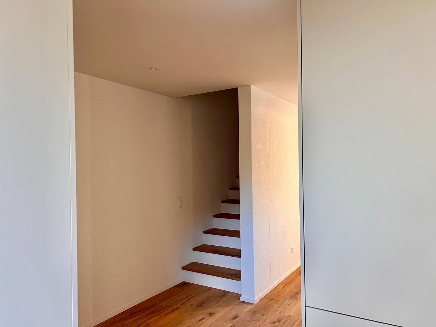 Neubau Erstbezug - Hochwertiges 5.5 Zimmer Reihenhaus mit Garten -  Bild 9