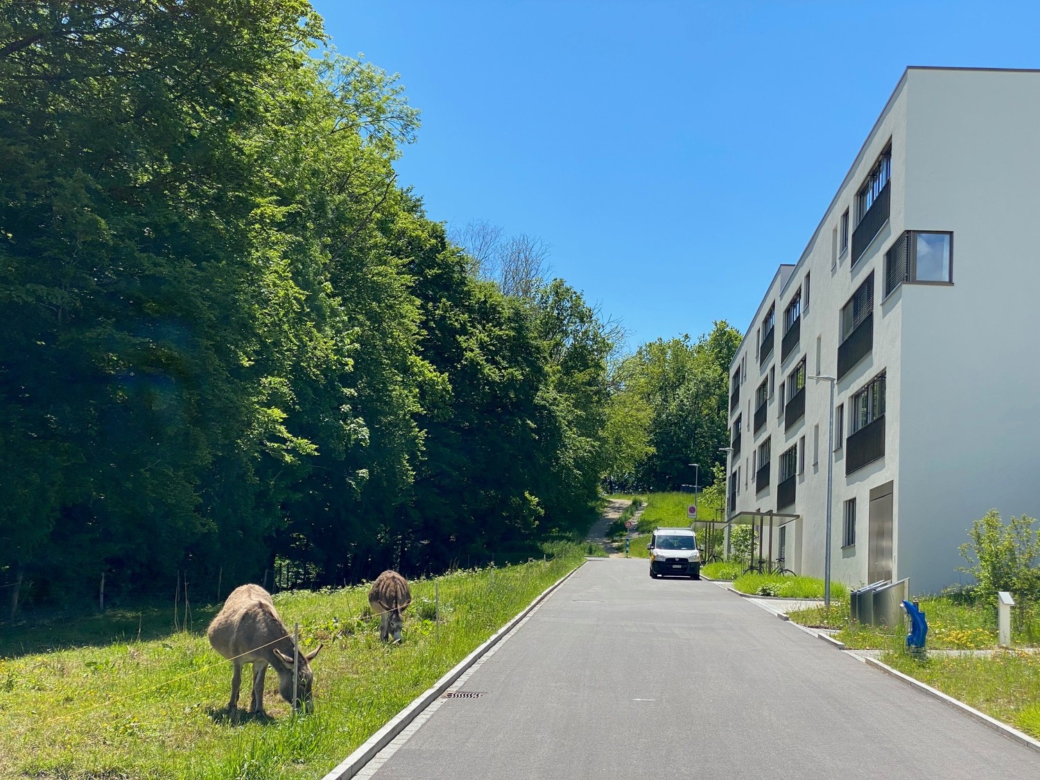 Grosszügiges Wohnen auf 178 m²  Ihr neues Zuhause im beliebten ChlyholzQuartier - Bild 1