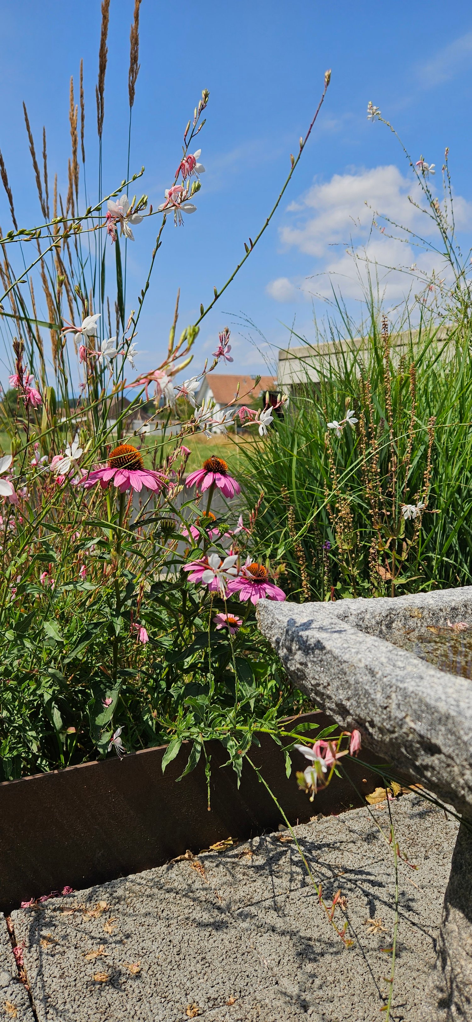 Lüscherz am Bielersee exklusive 5.5-Zimmer-Dachwohnung mit Seesicht - Bild 13