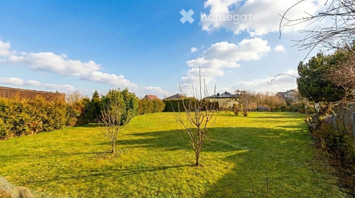 Präferenz -  Bild 4