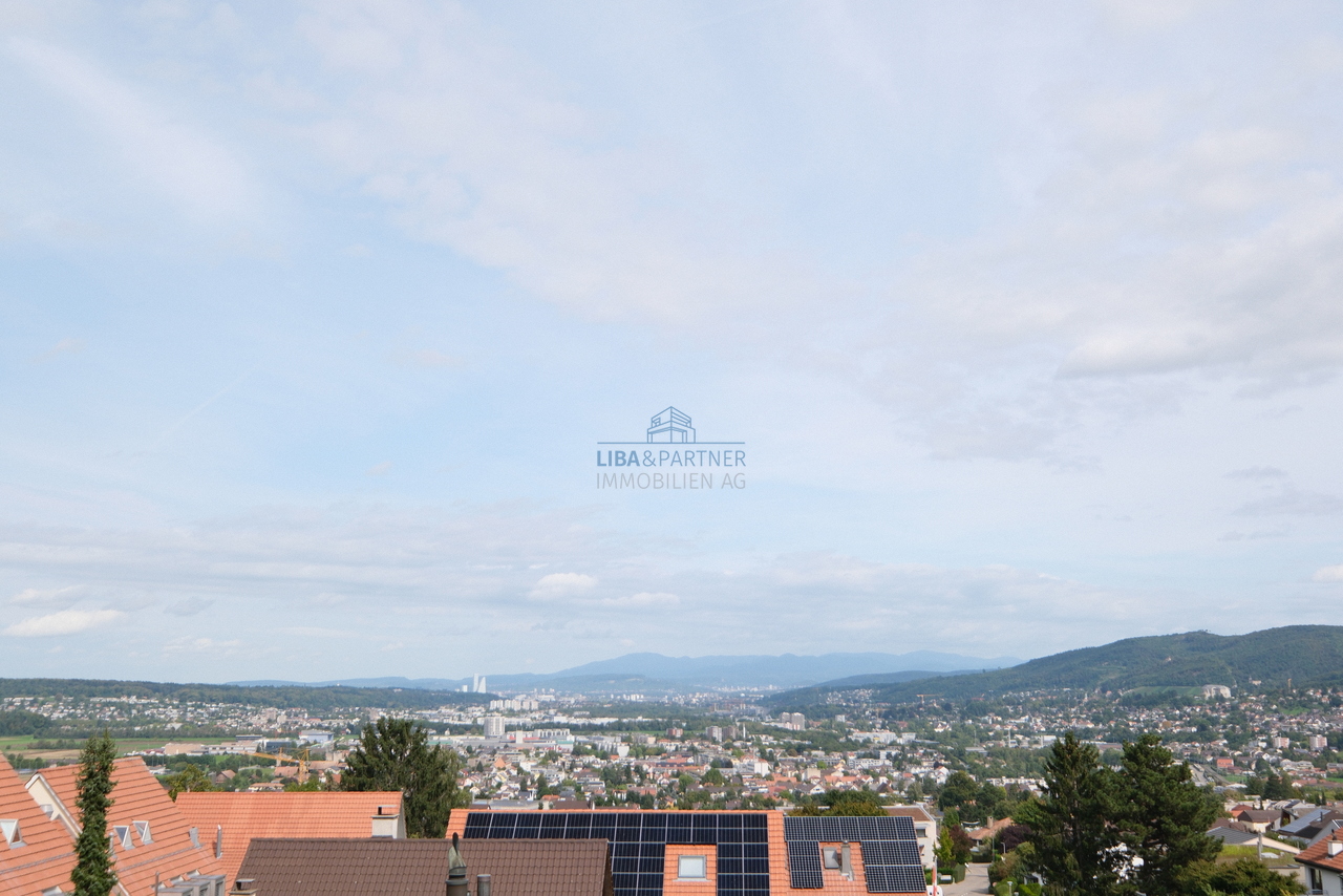 Zeitloser Neubau mit grosszügigem Raumkonzept - Aussicht nach Basel