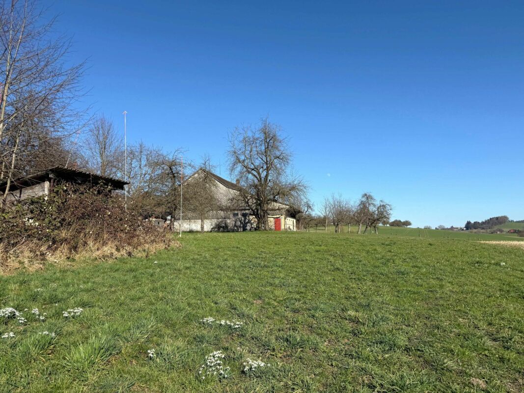 Neubauprojekt "Grünblick Buch" - Modernes Wohnen in idyllischer Lage - Bild 4