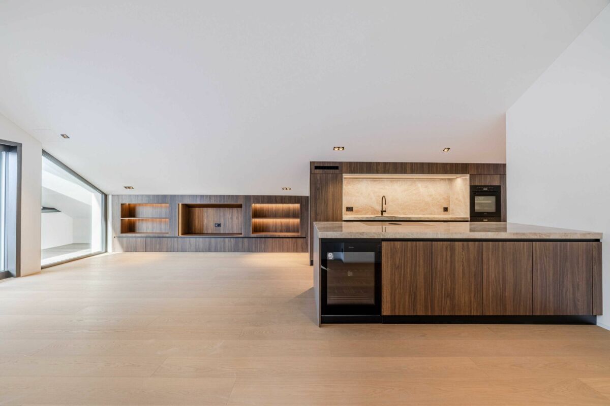 Erstbezug Neubau: Design, Licht & Komfort - Exklusive 5.5 Zimmer-Dachattikawohnung im beliebten Horn - Bild 1