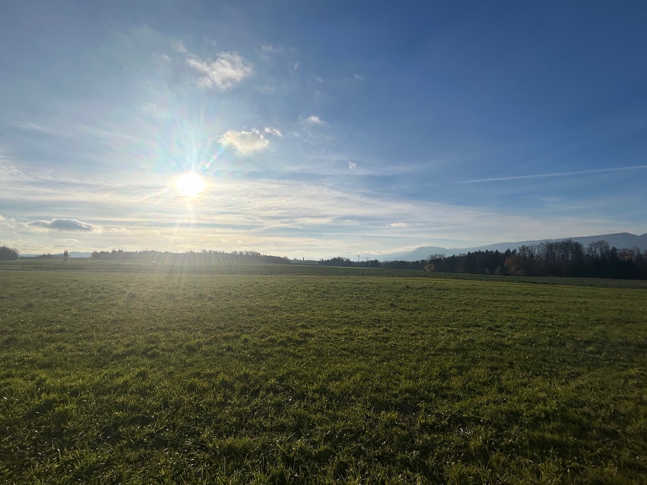 Gletterens Villa contigüe de 5.5 pièces Vue dégagée sur la campagne - Bild 6