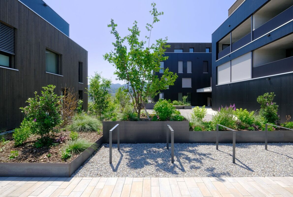 Wohnen mit Blick auf die Reben von Berneck - Überbauung Emseren, Au - Bild 2