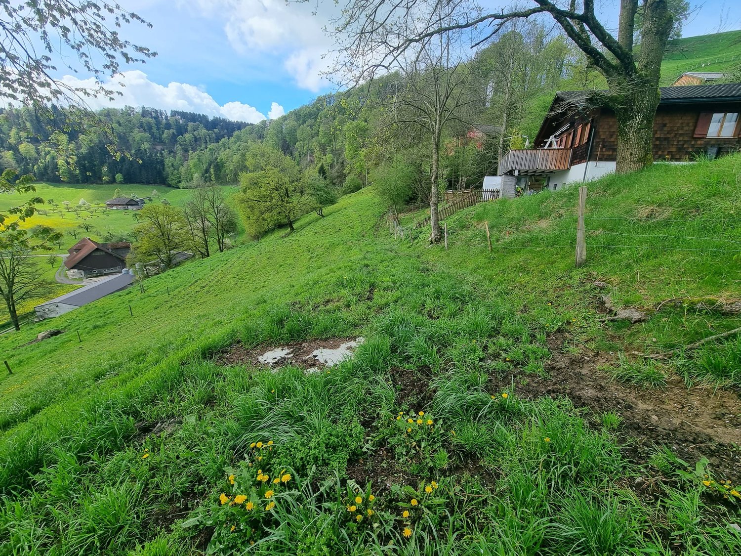 Traumhafte Wohnlage mit Einliegerwohnung | Baubewilligung vorhanden - Bild 10