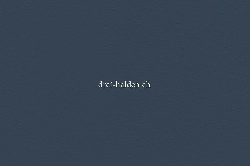 Neubauprojekt "Drei Halden" - 4.5-Zi. Wohnung im OG - Website
