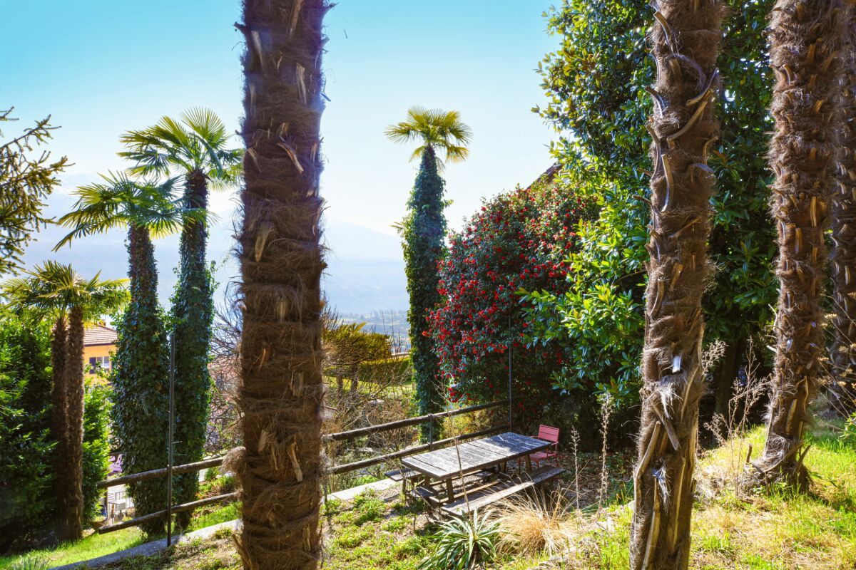 Casa al Parco - Bild 3