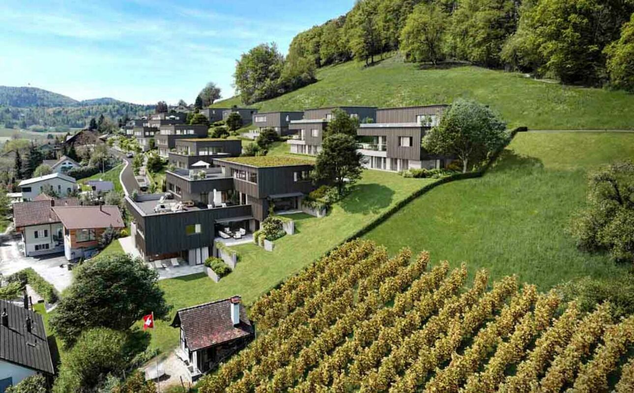 Traumhafte Fernsicht auf Alpstein mit Säntis und Churfirsten - 5.5-Zi.-Terrassenhaus - Visualisierung