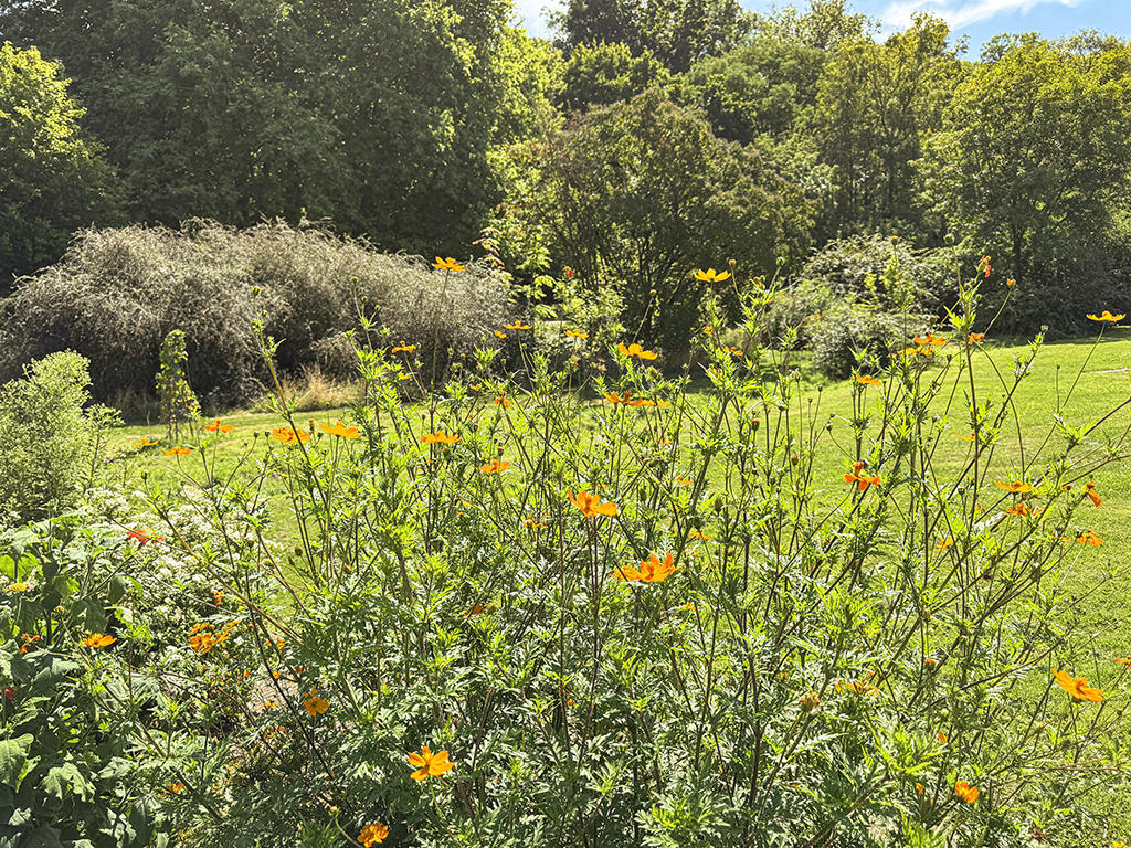 OPPORTUNITÀ CON RENDIMENTO MOLTO INTERESSANTE - SPECIALE INVESTITORI -  Bild 3