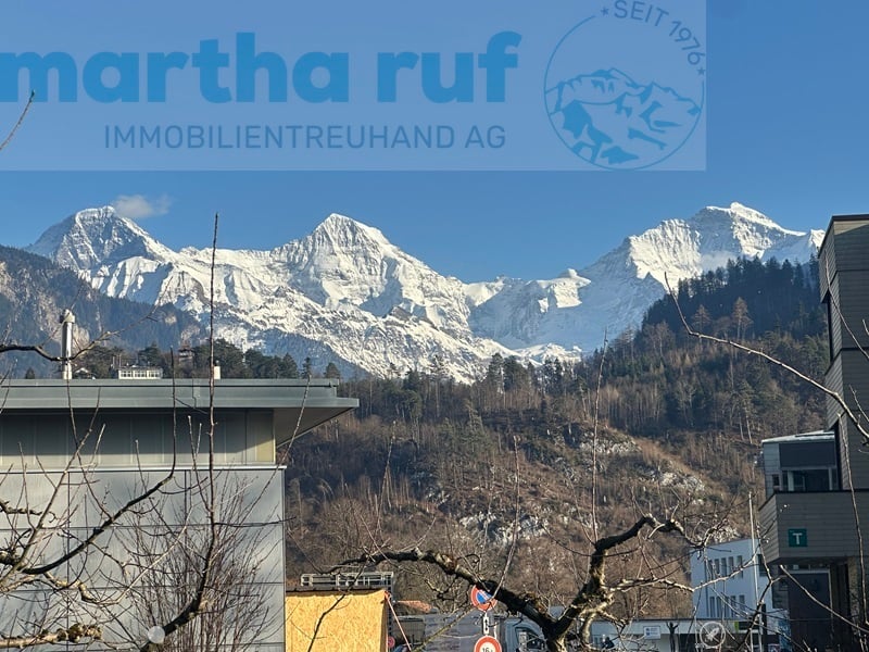 5.5-Zimmer Doppeleinfamilienhaus mit Panorama auf das Jungfraumassiv - Bild 3