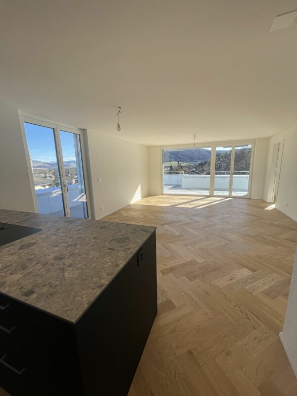 3,5 Zi. Attika-Wohnung Süd - Bild 10