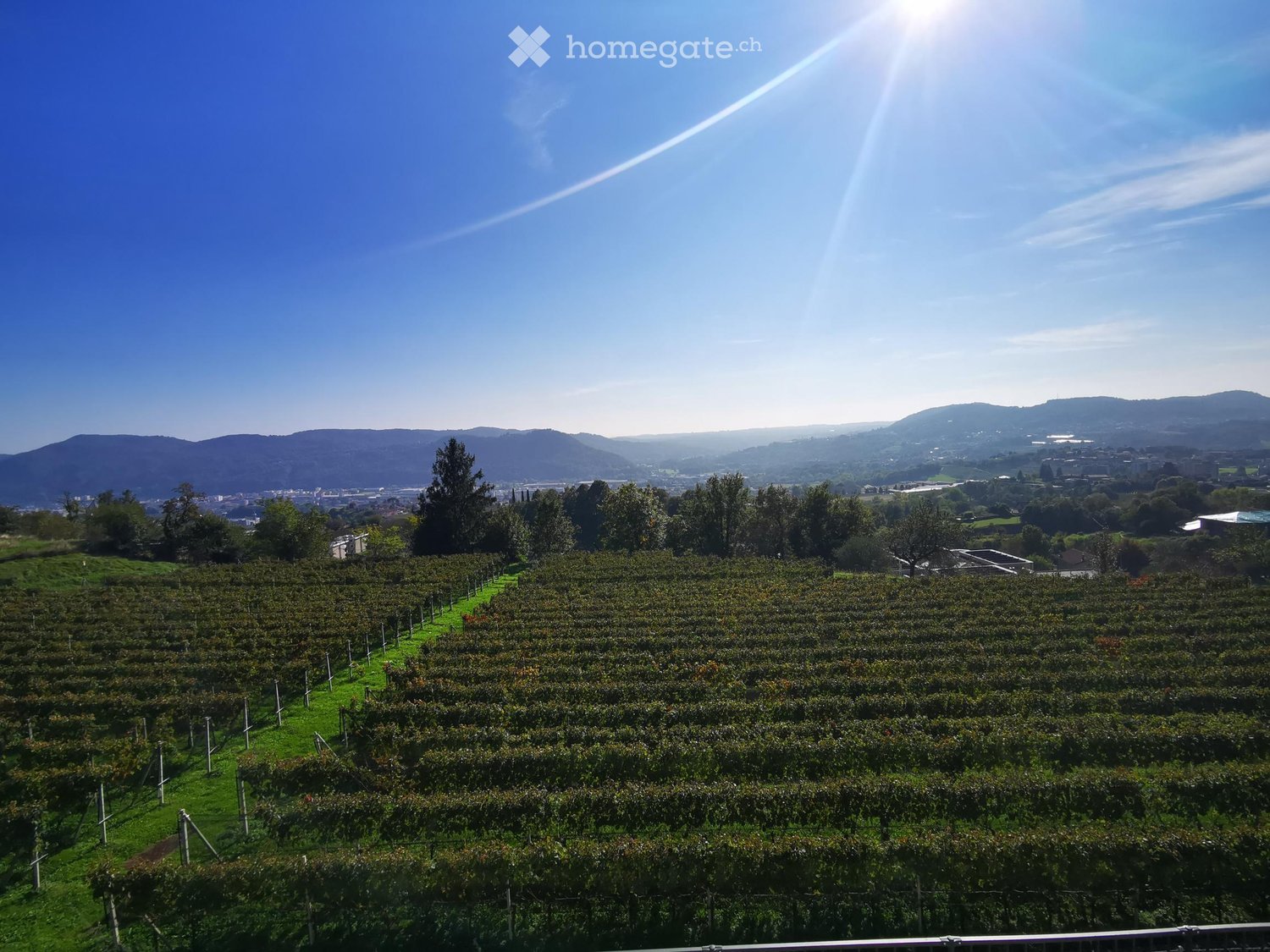 NUOVA RESIDENZA DI LUSSO - CASTEL SAN PIETRO - ULTIMO APPARTAMENTO DISPONIBILE - Bild 7