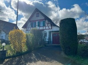 EFH (teilmöbiliert) in Frauenfeld befristet zu vermieten -  Bild 3