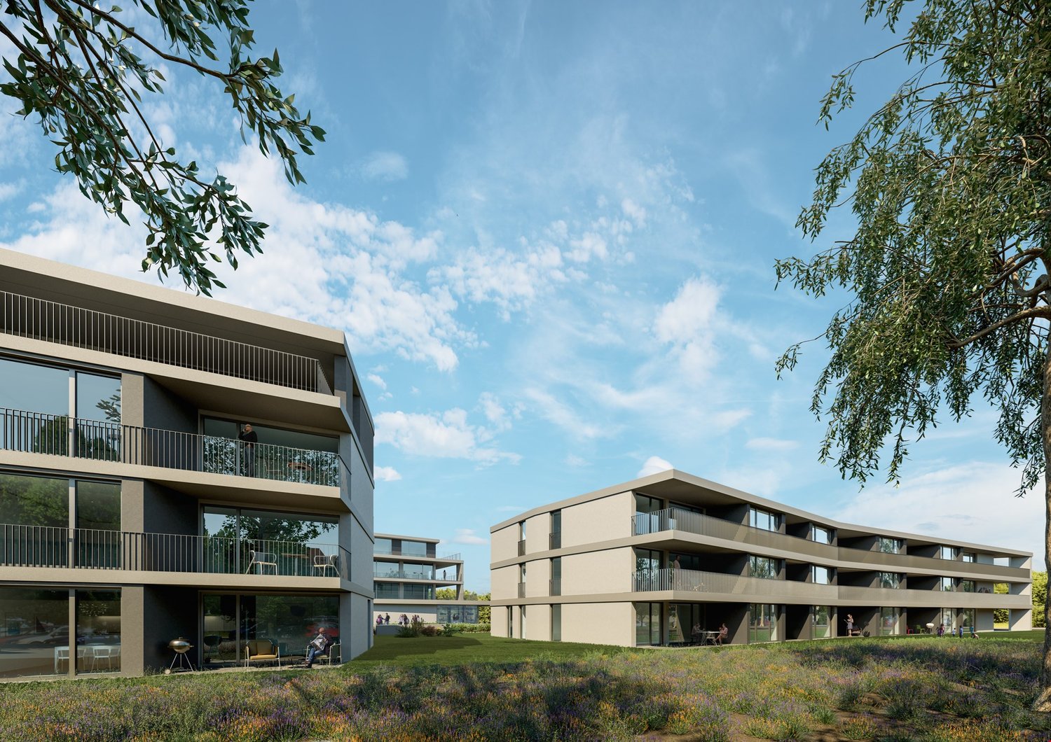 Grosszügige 5.5 Zimmer-Wohnungen -  Bild 1