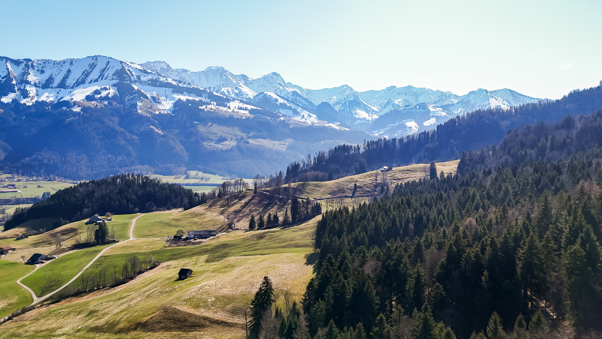 Dernière opportunité : appartement neuf de 4½ pces avec vaste - Bild 4