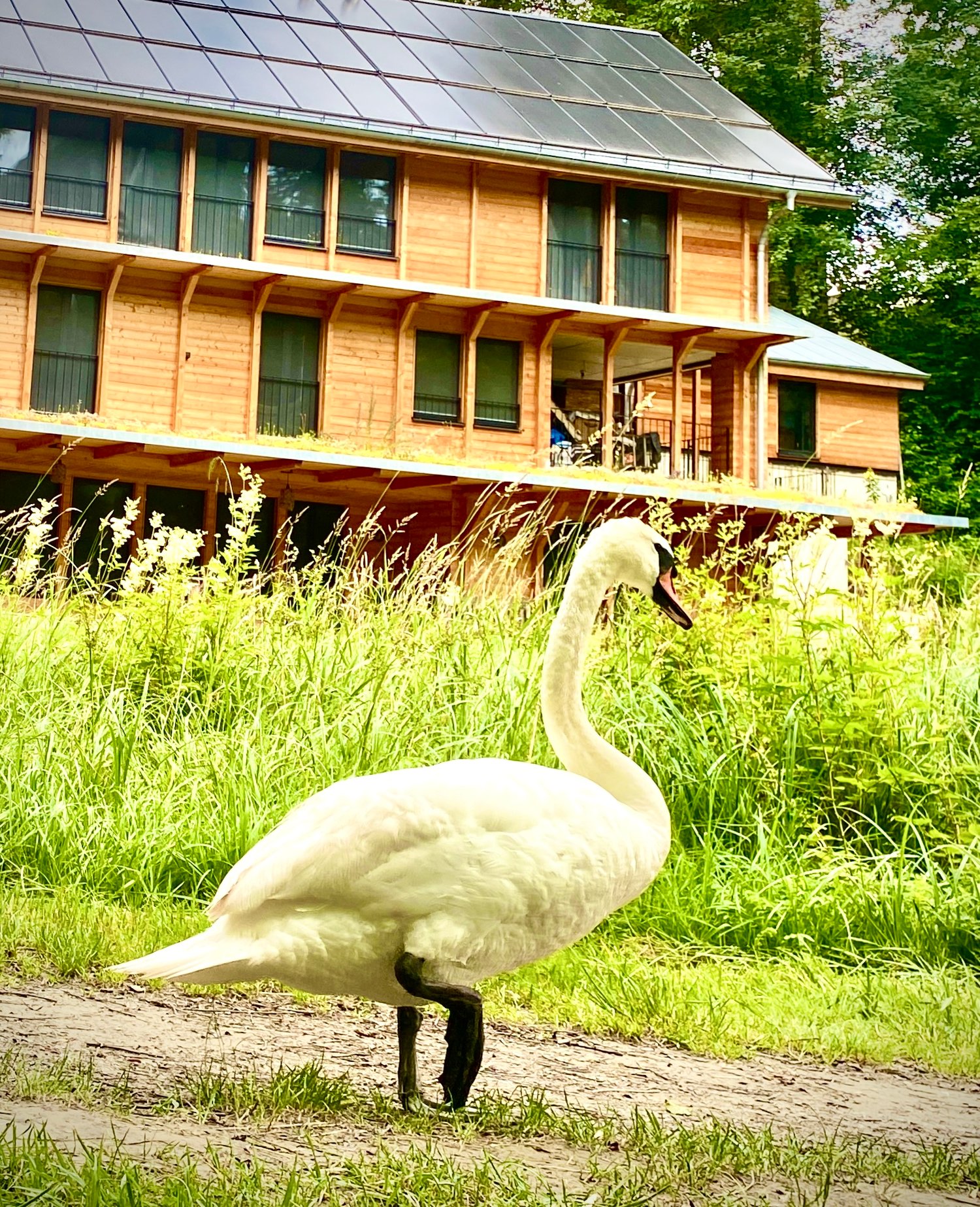 Mehrgenerationenhaus - Bild 6