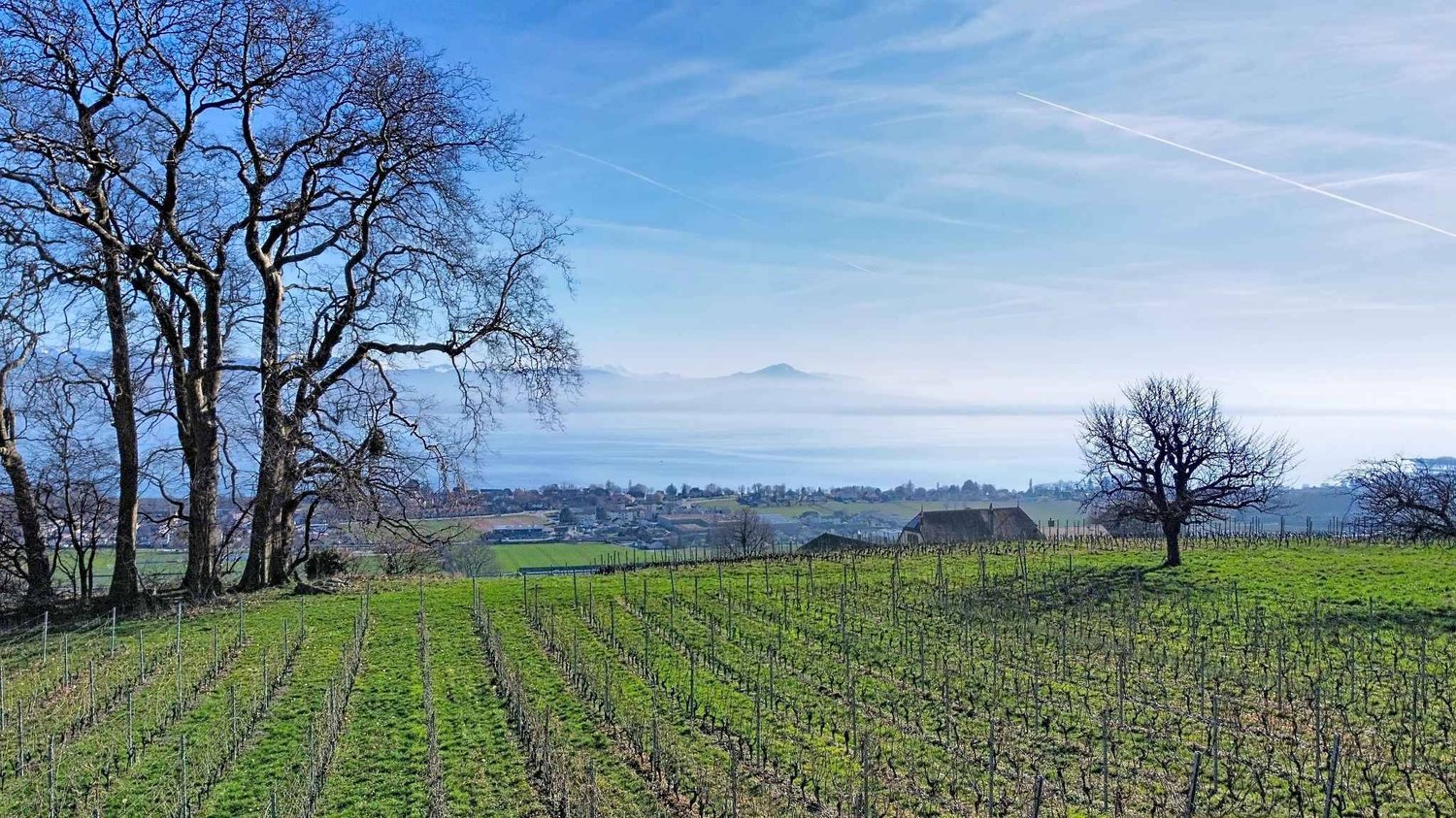 Villa d'Exception neuve : 360 m² de Lumière et de Prestige face au Léman - Bild 1