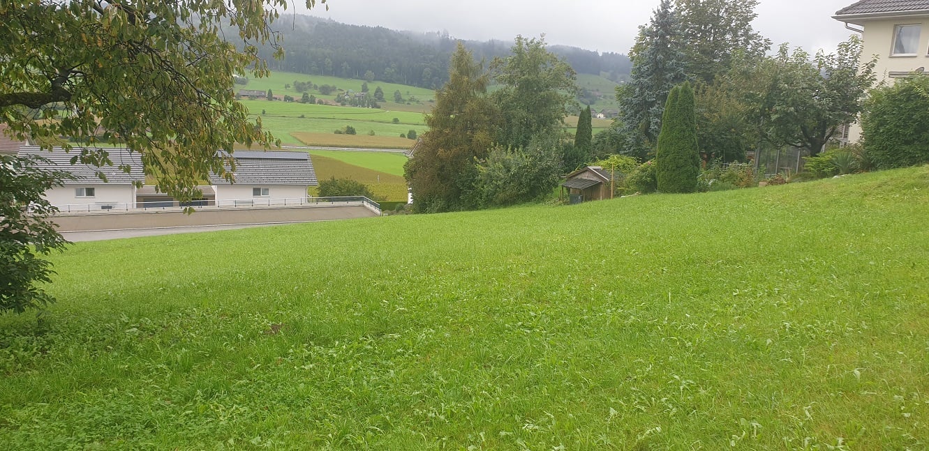 zwei freistehende EFH | Individuell anpassbar | ruhige Lage Fernsicht - Bild 6