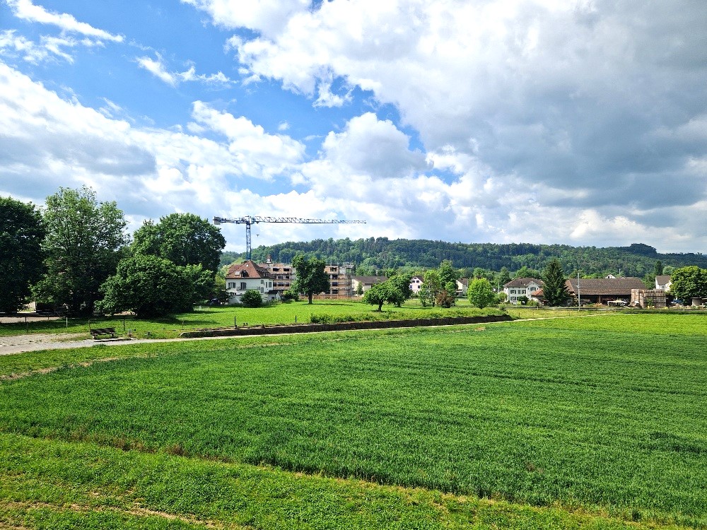 4.5 Zimmer Gartenwohnung mit mehr Raum, mehr Licht, mehr Zuhause. - Bild 5