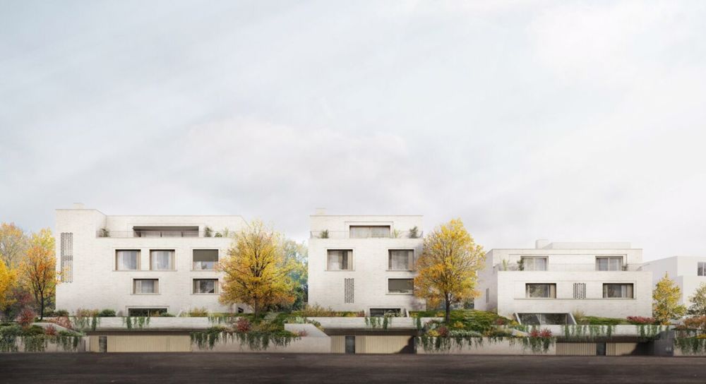 Einfamilienhaus mit Einliegerwohnung und Pool in Riehen - Bild 5