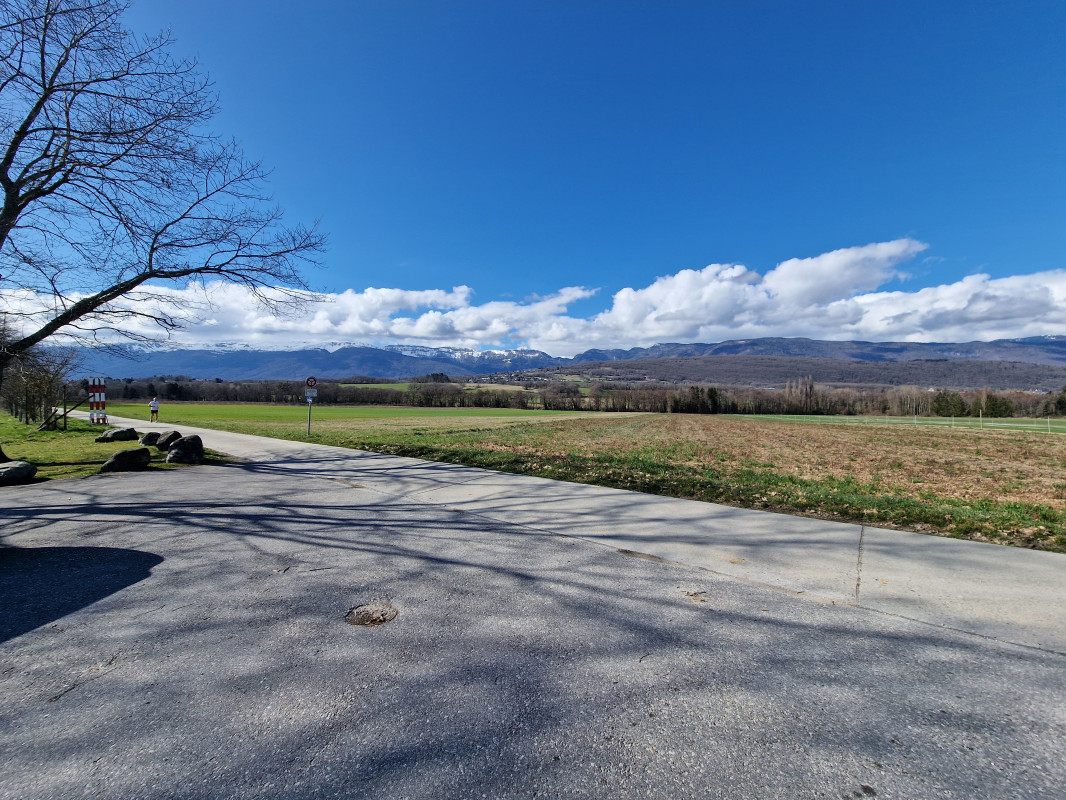 Bientôt sur le marché : Villa contemporaine Terre-Sainte Abby Bryand Immobilier - Bild 3