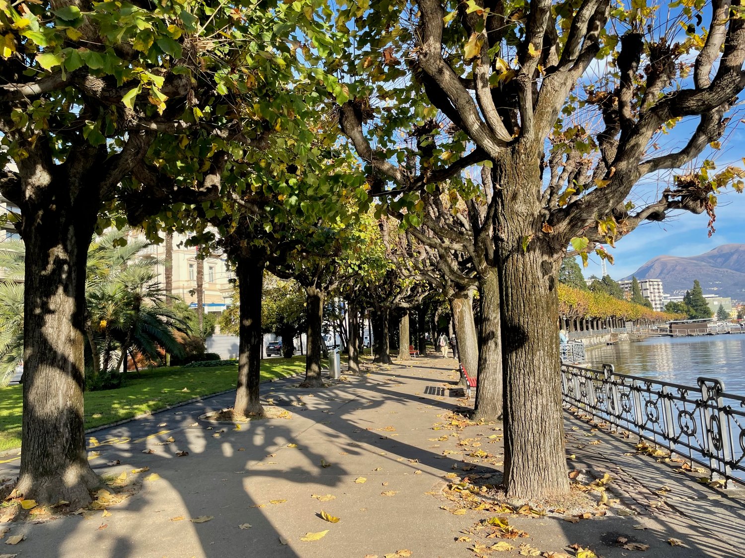 Lugano centro - Confortevole app.to 3 locali con giardino a due passi dal lungolago - Bild 6