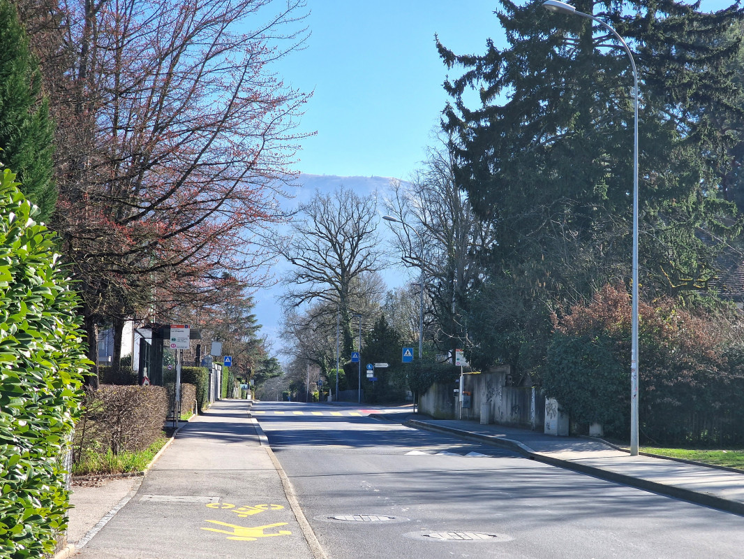 Bientôt sur le marché: Appartement Design et contemporain - Bild 3
