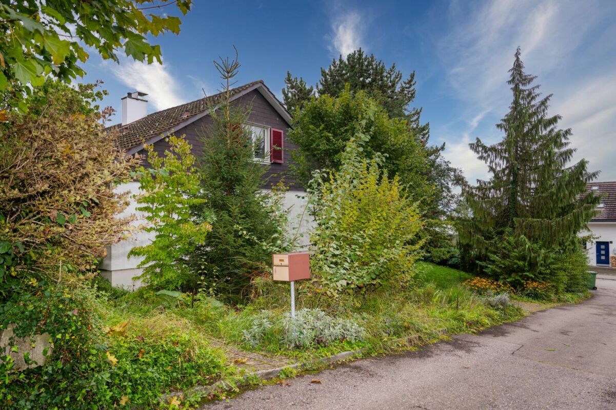 Mit viel Potenzial! - Bild 2