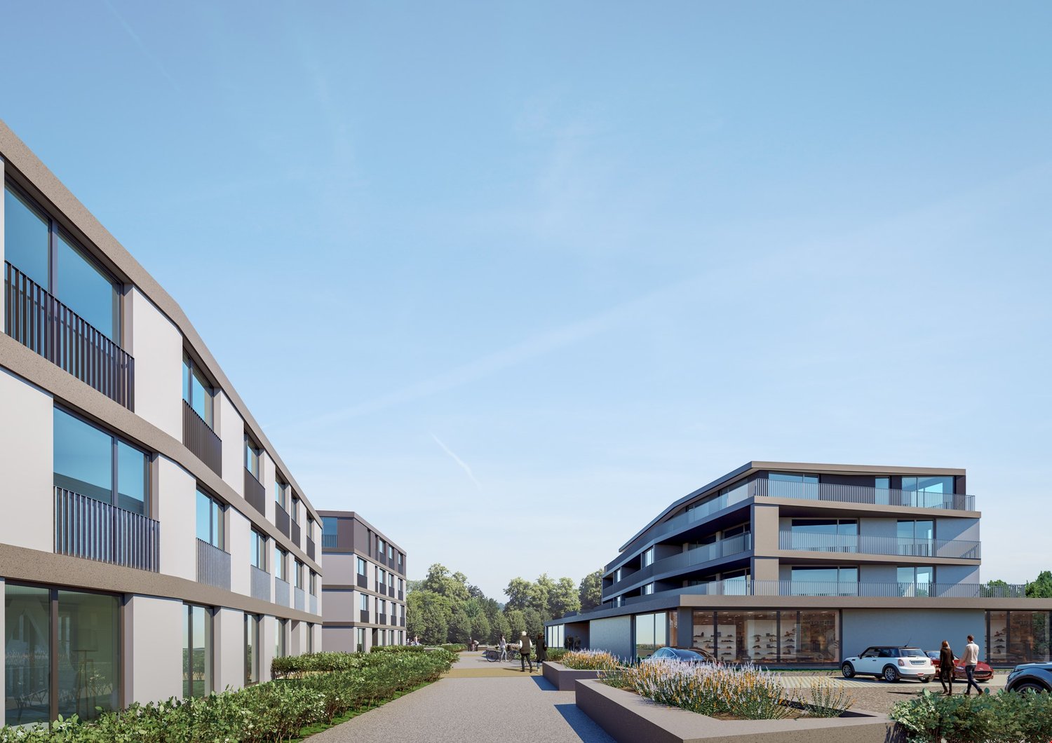 Grosszügige 5.5 Zimmer-Wohnungen -  Bild 2