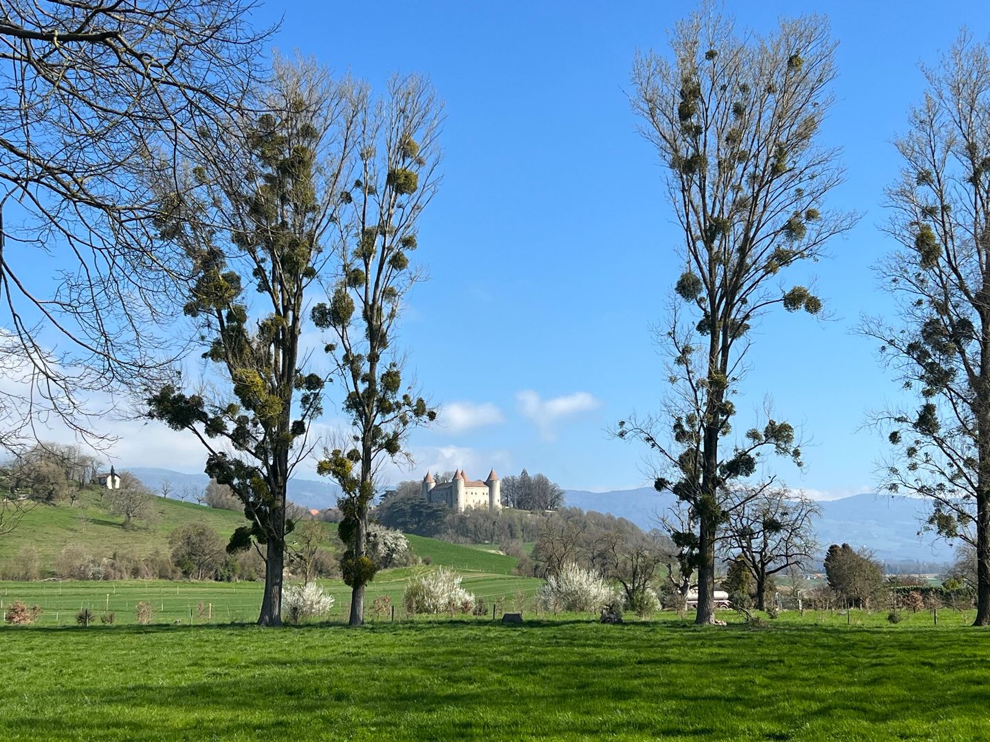 Dernier lot disponible - Bild 5